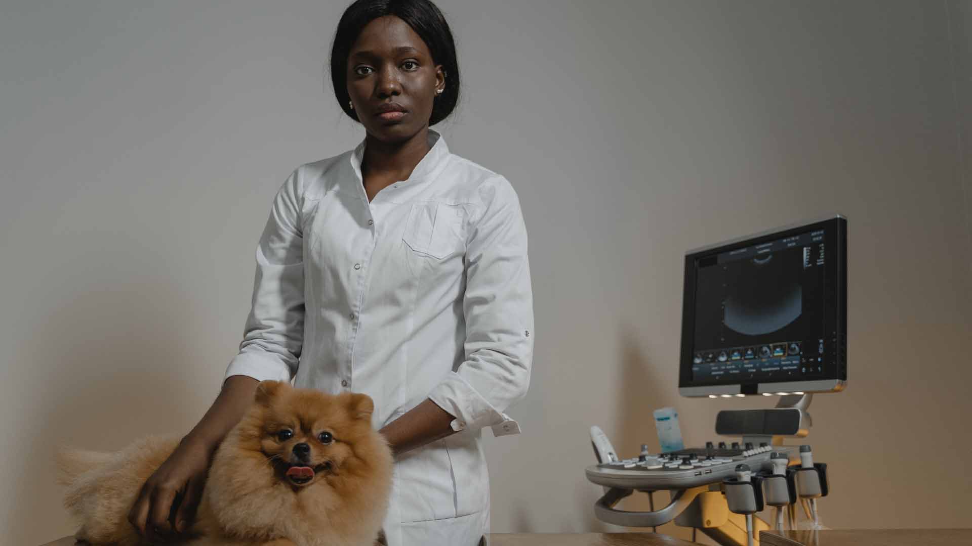 Women with pet animal next to a veterinary scanner machine
