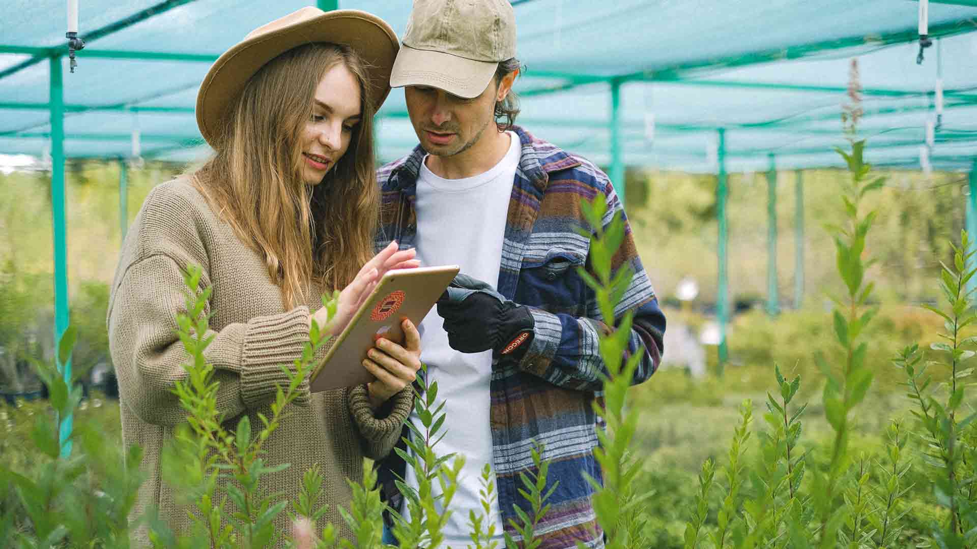 Two colleagues searching for a business name on a tablet