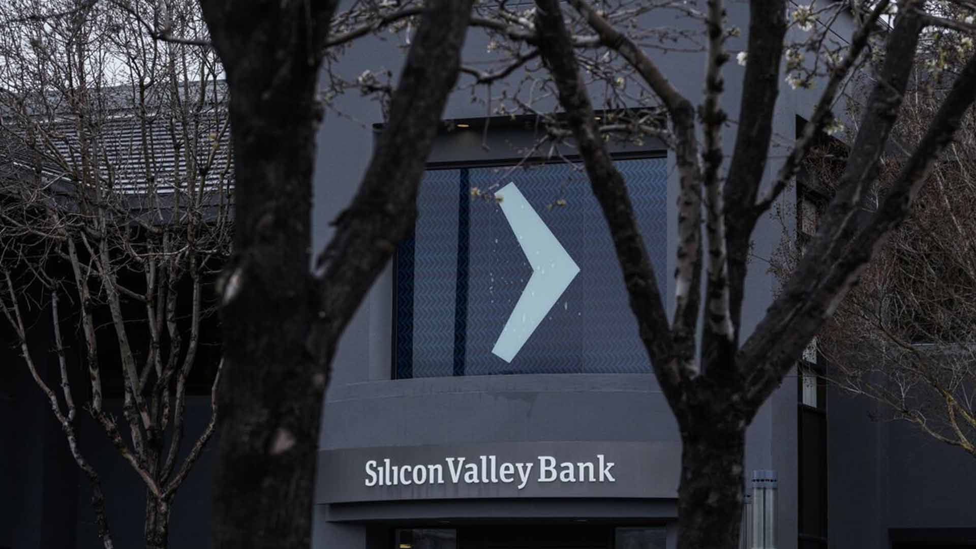 The Collapse of SVB