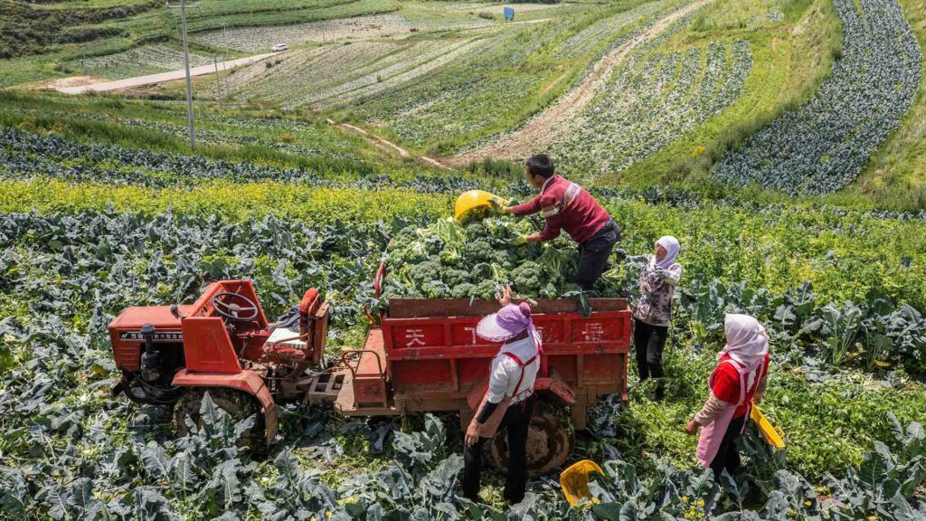 What is the global food industry