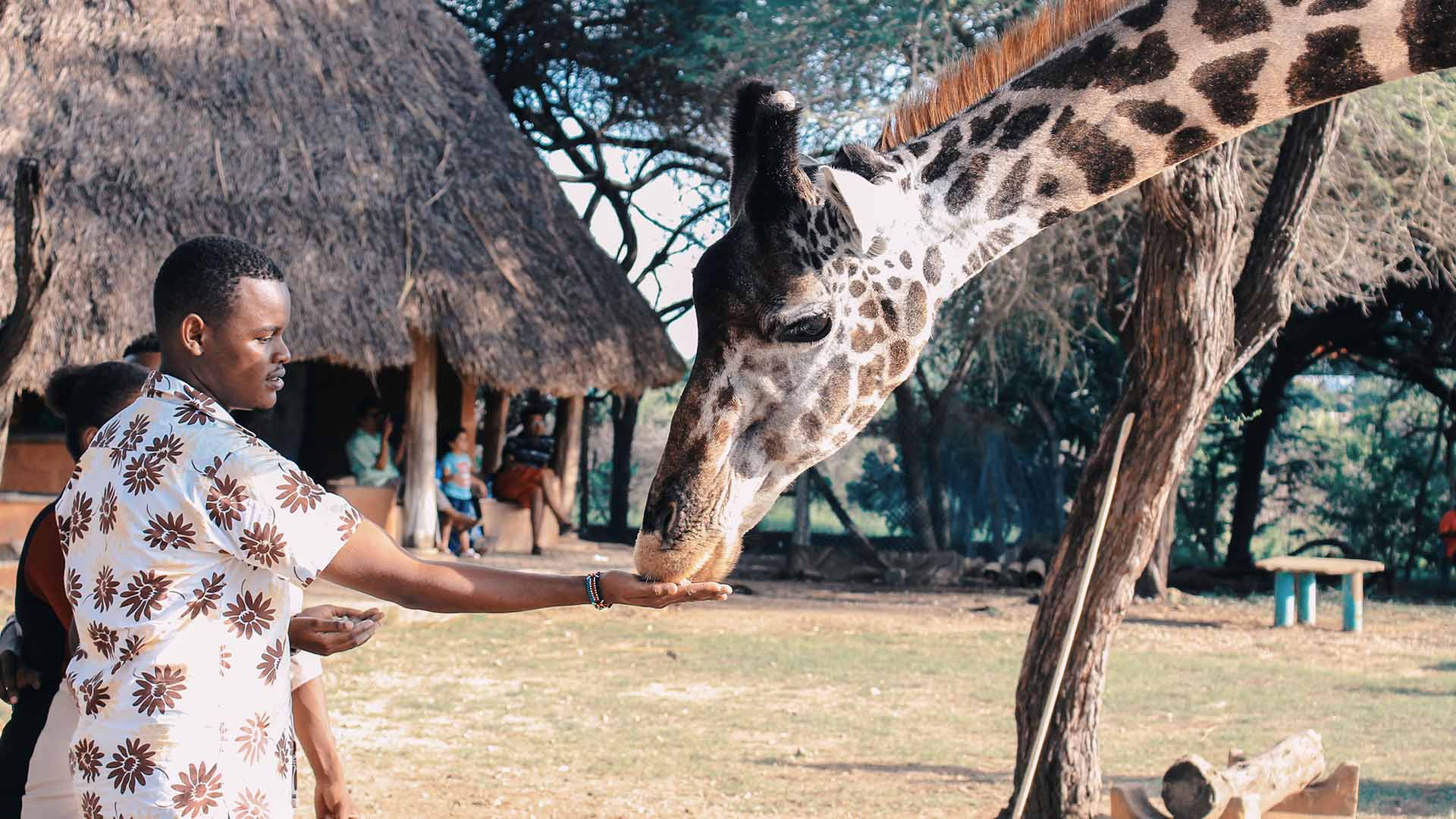 Wildlife Tourism