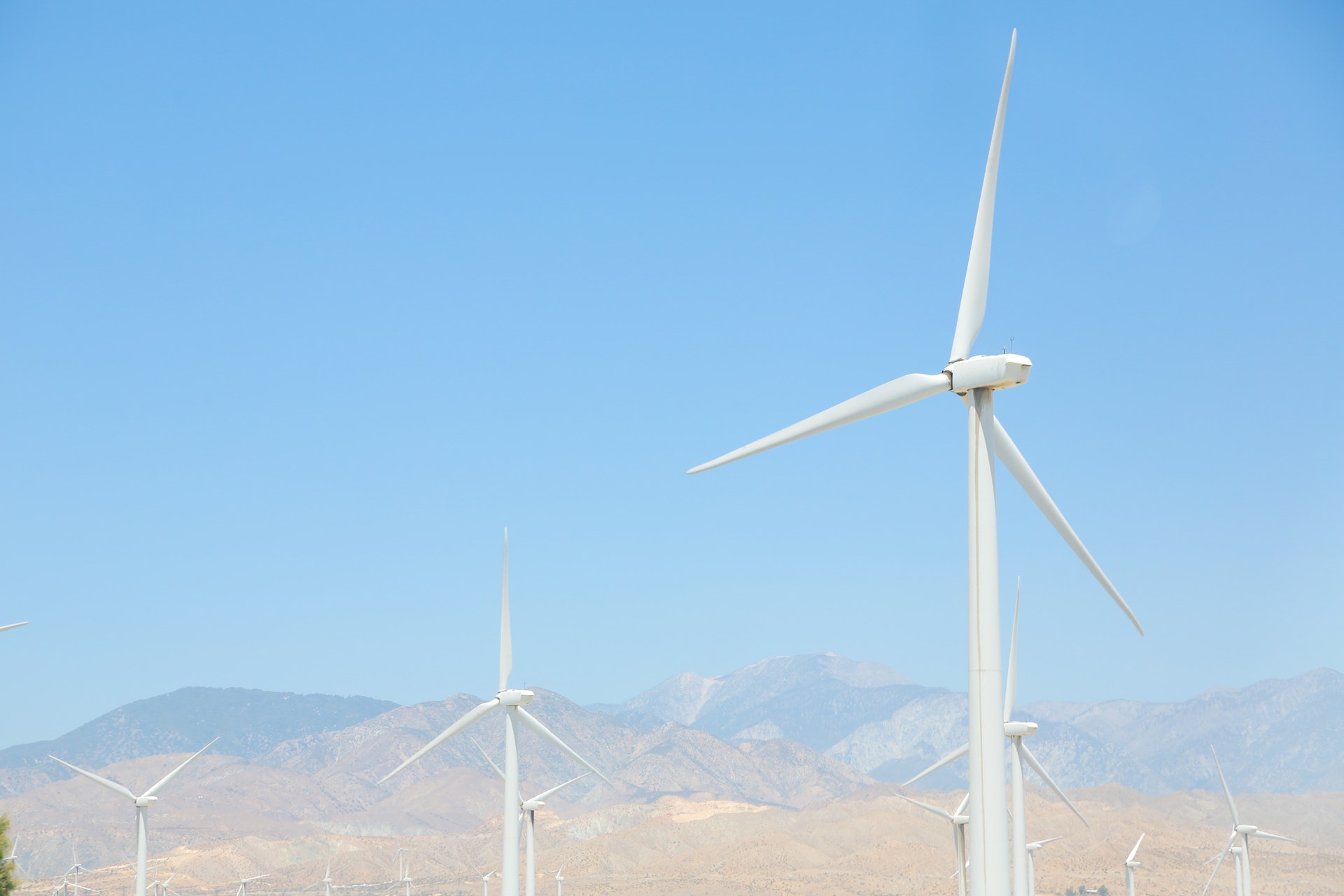 Renewable Energy Industry