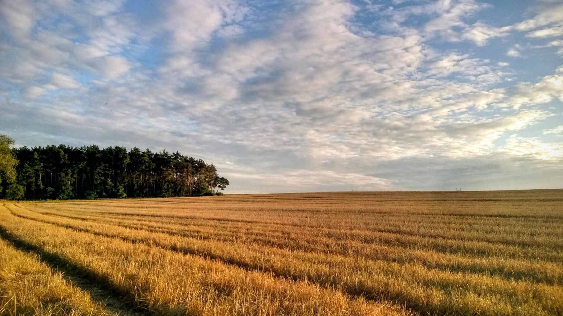 Vacant Land