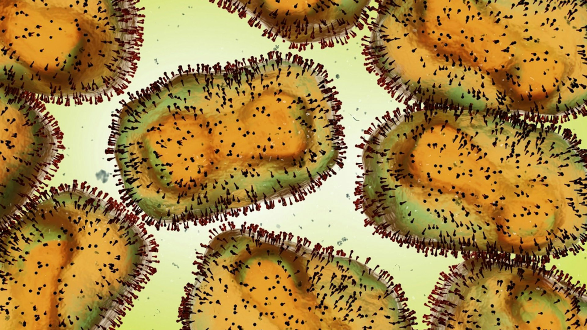 WHO Declares Mpox a Global Health Emergency copy | Brimco Close up image of the mpox virus under an electron microscope showing its detailed surface structure
