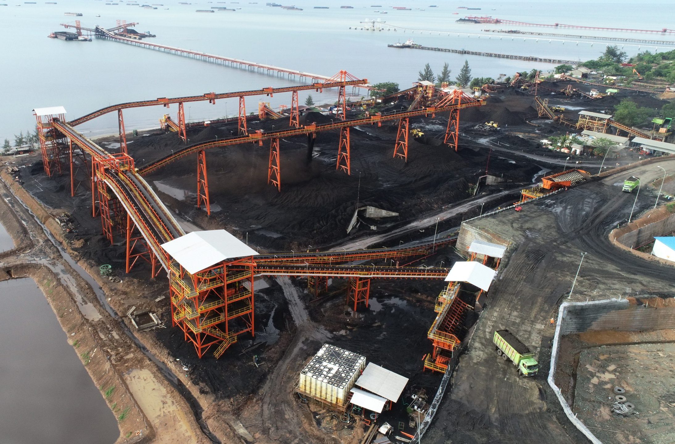 Pt borneo indobara bib  golden energy and resources