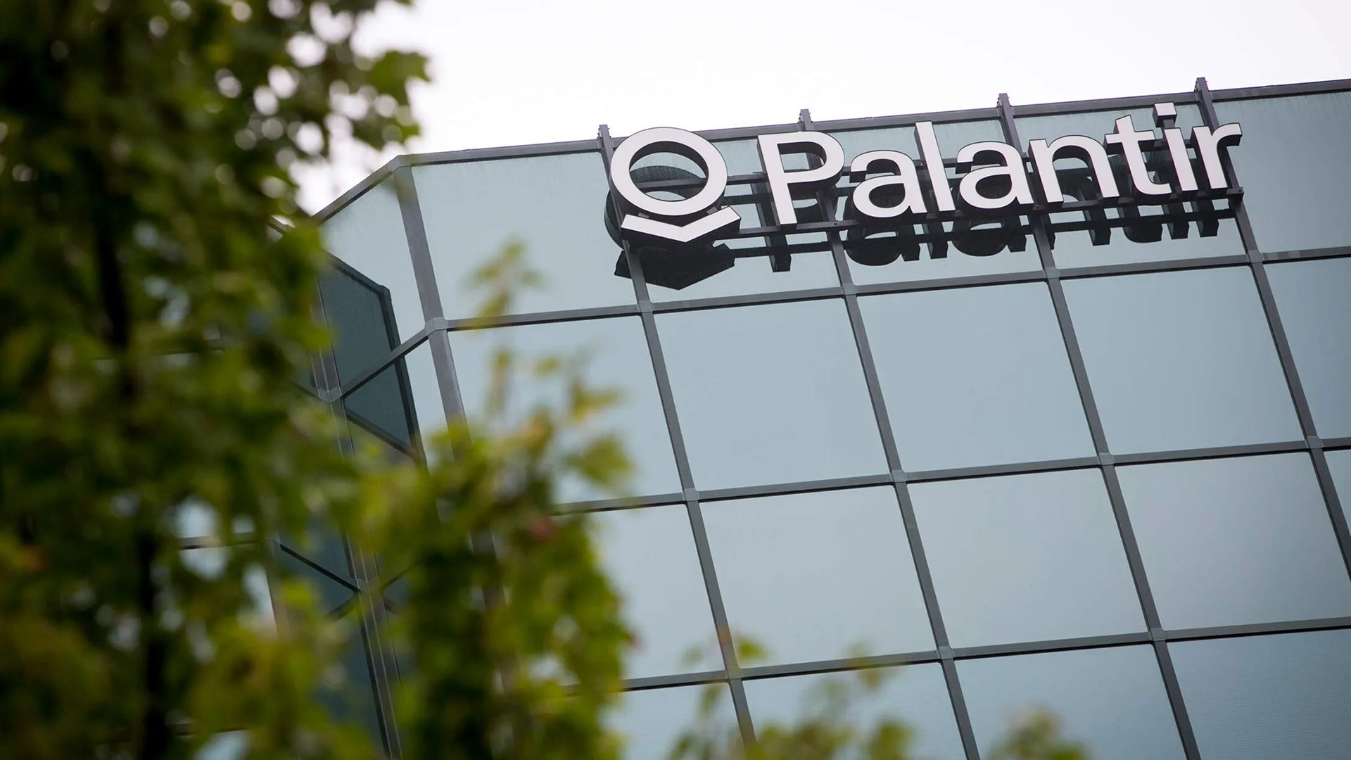 Palantir Technologies Headquarters | Brimco Glass fronted building with the palantir technologies logo partially obscured by green foliage