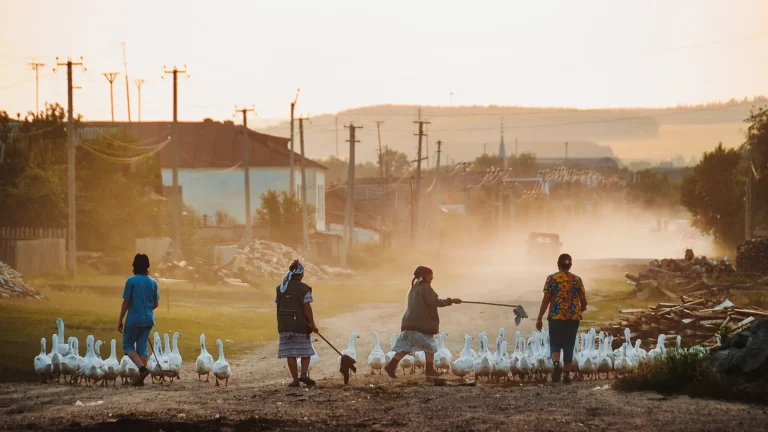 Rural community members herding geese along a dirt road at sunset symbolizing essential community services and local livelihoods