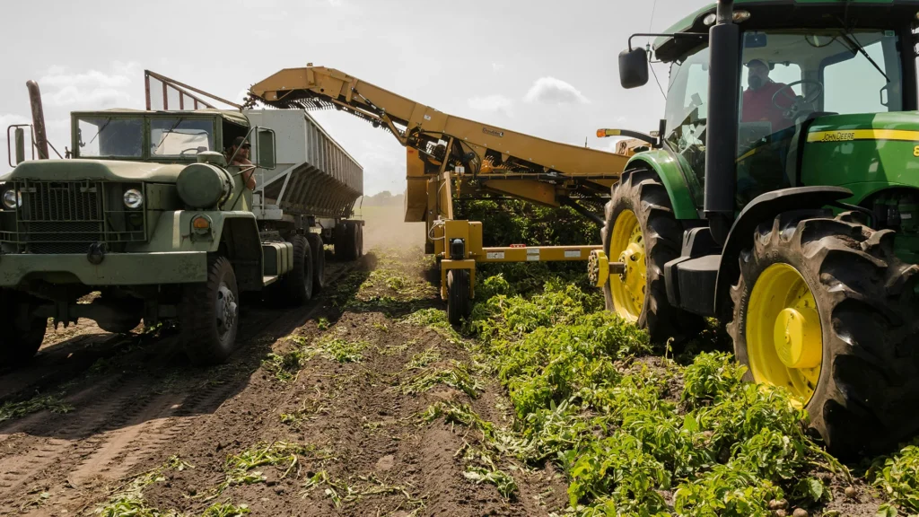 Large scale agricultural machinery harvesting crops with tractor and truck
