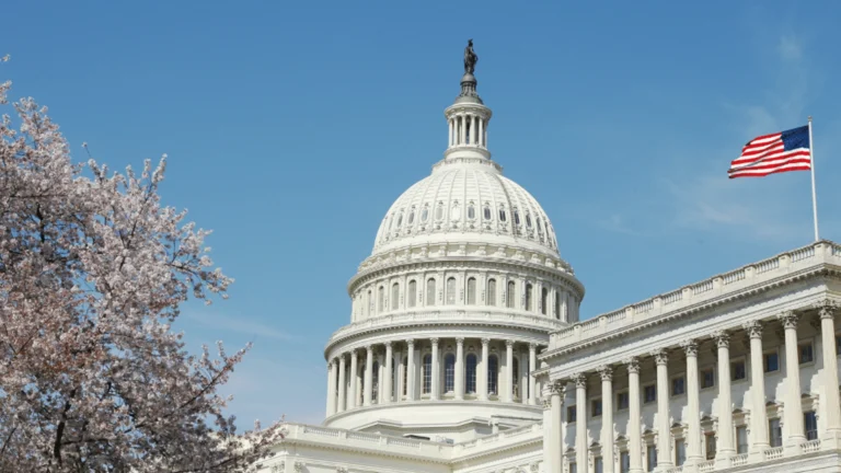 The United States Capitol building in Washington, D.C., with its white dome centered against a blue sky, cherry blossom trees in bloom on the left, and an American flag flying on the right.