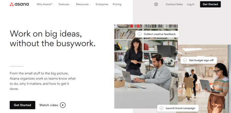 Asana project management